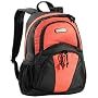 ASPENSPORT Wander- und Freizeitrucksack, 20 Liter, rot