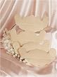 Shirley of Hollywood Adhesive Push-Up Bra