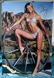 Stacy Keibler leggy wrestling babe in bikini sexy POSTER 23.5 x 34