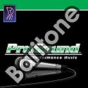Sing Baritone v.13