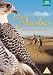 Wild Arabia [DVD]
