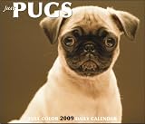 Just Pugs Daily Calendar (Just)
