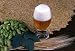 Stille Mit Bier - 36