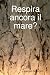 Respira Ancora Il Mare?でAmazonアフィリエイトツール