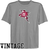 NCAA St. John's Red Storm Youth Ash Distressed Logo Vintage T-shirt
