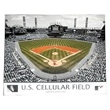 MLB Chicago White Sox Artissimo US Cellular Field 22x28 Canvas