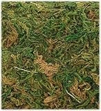 24 Inch Fontanini Moss Landscape 56545