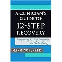 A Clinician's Guide to 12-Step Recovery (Hardcover)