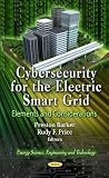 Cover for 9781619423534