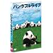 �p���_DVD