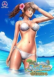 Sexyビーチ プレミアムリゾート【予約特典：追加衣装データ(SF風ワンピース水着+付属アイテム4点/純白下着)付き】[アダルト]