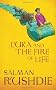 Luka and the Fire of Life