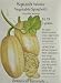 Squash Winter Spaghetti Heirloom Seeds