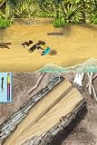 picture of The Sims 2: Castaway (Nintendo DS)
