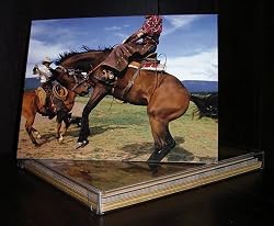 The Cowboy Caf&eacute; Greeting Cards - Born to ride