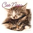 Cat Naps 2009 Mini Wall Calendar