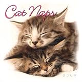 Office Products : Cat Naps 2009 Mini Wall Calendar