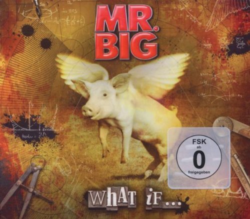What If... [CD/DVD Combo]