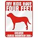 New  My Kids Have 4 Feet : Greater Swiss Mountain Dog  Parking Sign Dog