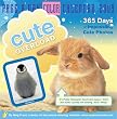 Cute Overload Page-a-Day...