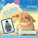 Cute Overload Page-A-Day Calendar 2009 (Color Page-A-Day(r) Calendars)