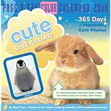 Cute Overload Page-A-Day Calendar 2009 (Color Page-A-Day(r) Calendars) (Calendar) 