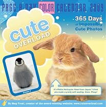 Cute Overload Page-A-Day Calendar 2009 (Color Page-A-Day(r) Calendars)