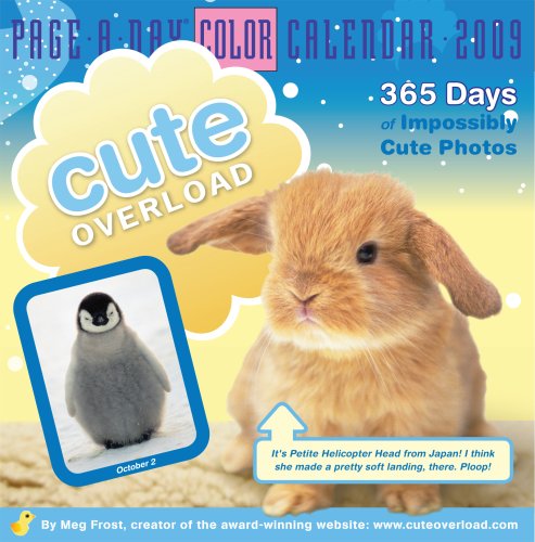 Cute Overload Page-a-Day Calendar 2009 (Colour Page a Day Calendars) (Color Page-A-Day(r) Calendars)