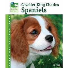 Cavalier King Charles Spaniels (Animal Planet Pet Care Library)