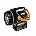 Rayovac ISL4D-BTP6 Swivel Lantern, with Batteries