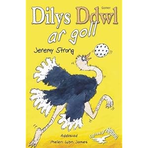 Dilys Ddwl Ar Goll (Cyfres Yr Hebog) (Welsh Edition) Jeremy Strong, Scoular Anderson and Meleri Wyn James