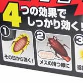 ブラックキャップ 12個入り