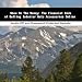 Book Show Me The Money: The Financial Side of Selling Interior Auto Accessories Online