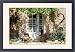 Framed Prints of FRR-323 FRANCE - Blue chair a vine a net-curtained white door from Ardea Wildlife Pets