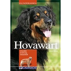 Hovawart: Charakter, Erziehung und Gesundheit