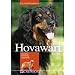 Hovawart: Charakter, Erziehung und Gesundheit