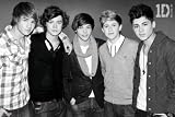 Music - Pop Posters: One Direction - Black & White - 23.8x35.7 inches