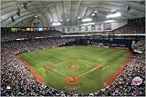 Minnesota Twins Hubert H. Humphrey Metrodome 4x6 Wall Mural