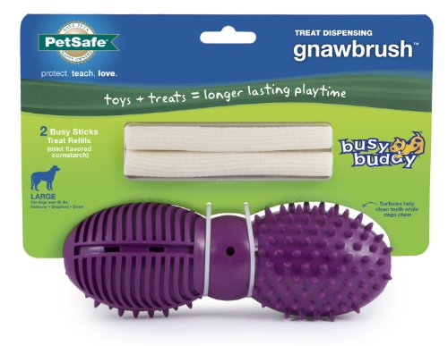 PetSafe Busy Buddy Gnawbrush Dog Toy, Large