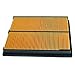 Air Filter for Honda GX610, GX620, GX670 - Rep 17210-ZJ1-841, 17210-ZJ1-842