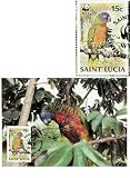 First Day of Issue WWF St. Lucia Parrot (Amazona Versicolor) Stamp