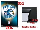 Framed New Orleans Hornets Logo Poster 5420