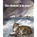 Un ch�ton � la mer !