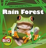 Rainforest : take a look inside my home