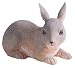 Collectable Animals Laying Bunny