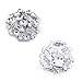 ELEGANTPARK AM Women Rhinestones Decoration Wedding Party Shoe Clips 2 Pcs Silver
