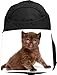 Rikki Knight UKBK Small Brown Kitten With Bright Blue Eyes Tech BackPack - Padded for Laptops & Tablets Ideal for School or College Bag BackPack