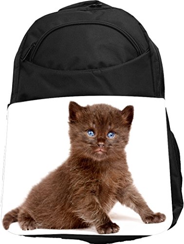Rikki Knight UKBK Small Brown Kitten With Bright Blue Eyes Tech BackPack - Padded for Laptops & Tablets Ideal for School or College Bag BackPack