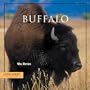 Buffalo (Look West)