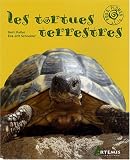Tortues Terrestres